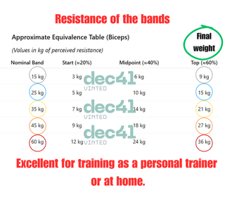 Conjunto de Bandas Elásticas para Fitness