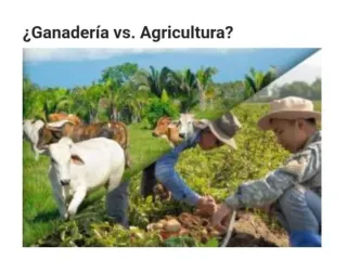 Agricultura y ganadería