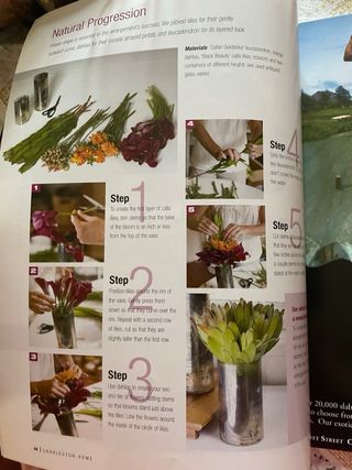 Rivista charleston Home  2008 in lingua inglese