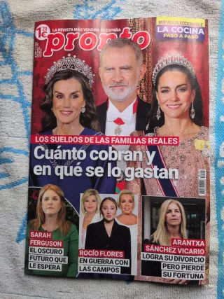 Lote revistas pronto