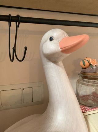 Oca grande de terracota