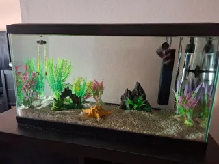 Acuario Ciano 60L LED + Accesorios