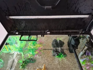 Acuario Ciano 60L LED + Accesorios