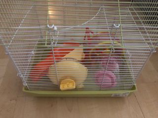 Jaula para hámster ruso.