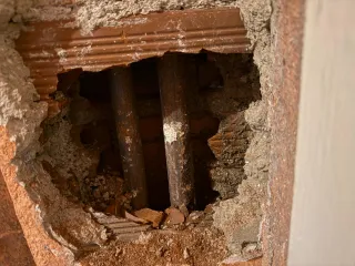 Ayudante albañil con carnet