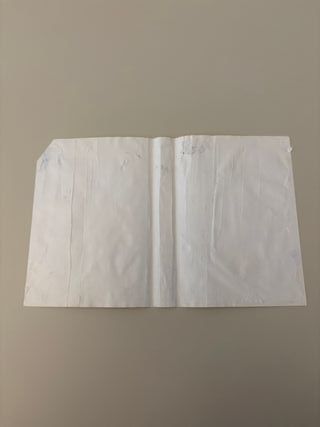 quackshot sega mega drive jap 🇯🇵