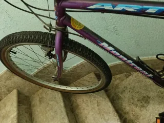 Bicicleta Montaña Morada