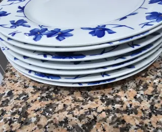 Plato Vista Alegre 28cm Azul y Blanco