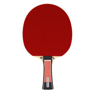 Pala ping pong club - Lebrun Pro X 5* ITTF