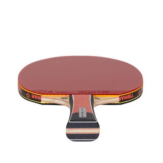 Pala ping pong club - Lebrun Pro X 5* ITTF