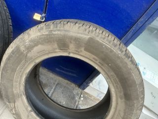 Neumático 195/65 R15