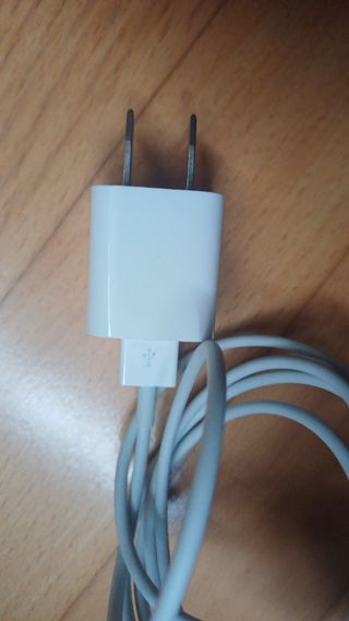 Cargador Apple Americano