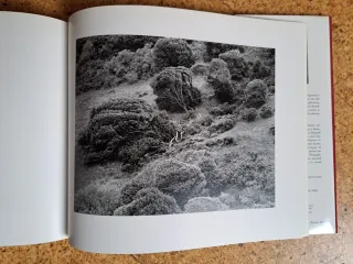 Libro Fotografía: Paula Chamlee (1ª Ed)