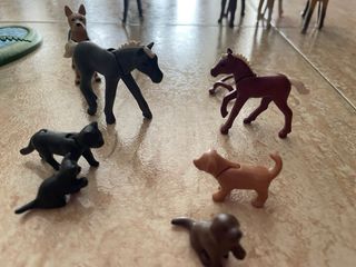 Playmobil Caballos y Figuras