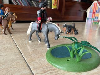 Playmobil Caballos y Figuras