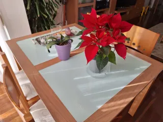 Mesa comedor madera y cristal con 4 sillas.