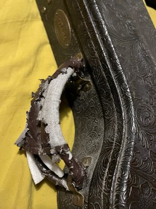 Tokai LS173 Guitarra Eléctrica