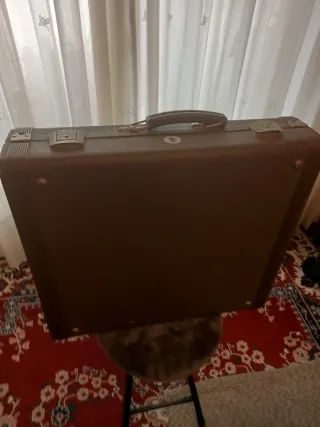 Acordeón Verdi II HOHNER