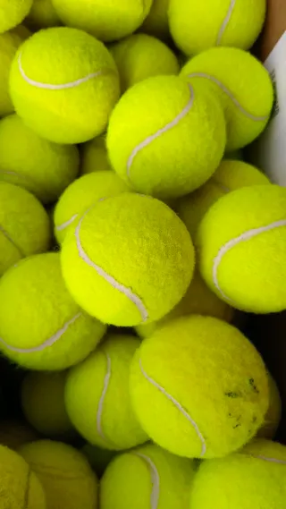 20 palline da tennis Head Tour XT