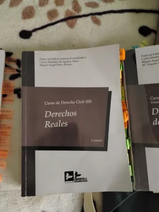 CURSO DE DERECHO CIVIL (III): DERECHOS REALES