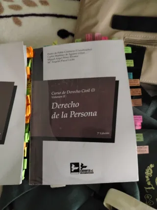 CURSO DE DERECHO CIVIL (III): DERECHOS REALES