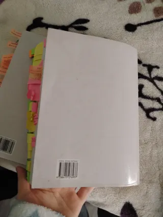 CURSO DE DERECHO CIVIL (III): DERECHOS REALES