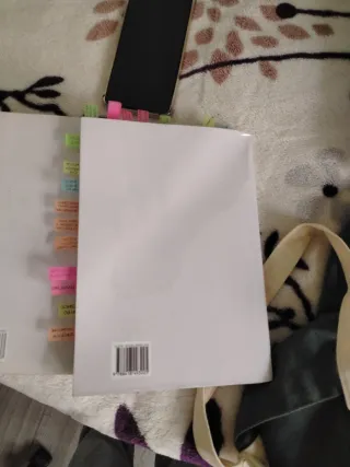 CURSO DE DERECHO CIVIL (III): DERECHOS REALES