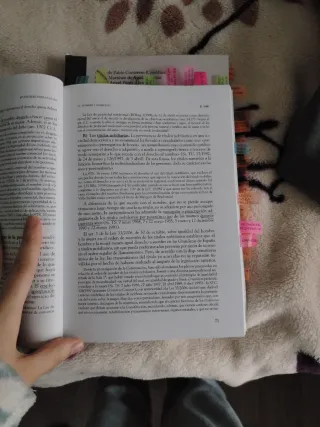 CURSO DE DERECHO CIVIL (III): DERECHOS REALES