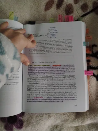 CURSO DE DERECHO CIVIL (III): DERECHOS REALES