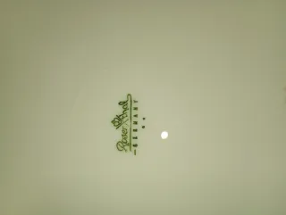 Servizio piatti Rosenthal Rose.