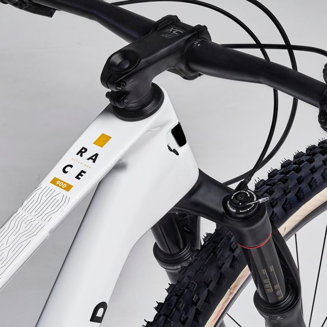 Bicicleta montaña 29" carbono RACE 900 GX Eagle AXS