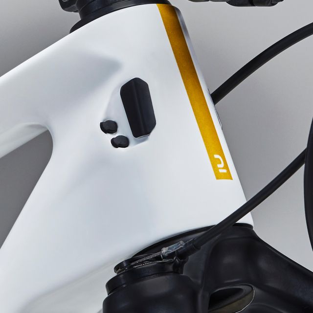 Bicicleta montaña 29" carbono RACE 900 GX Eagle AXS