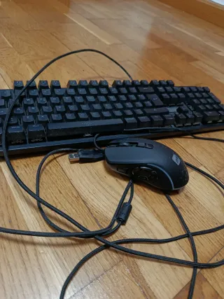 Teclado y ratón pc
