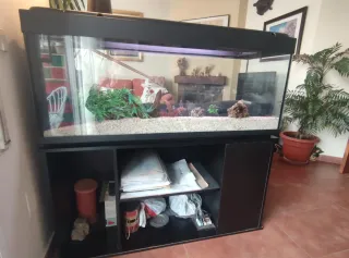 Acuario con grava y decoraciónAcuario de 240 litro