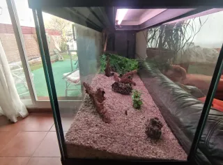 Acuario con grava y decoraciónAcuario de 240 litro