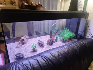 Acuario con grava y decoraciónAcuario de 240 litro