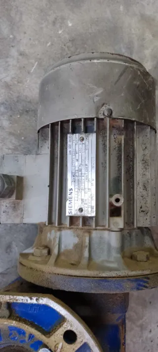 Motor reductor Encoladora Egurko Ortz