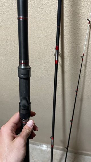 Caña Daiwa Emblem Surf Type-R 33-420