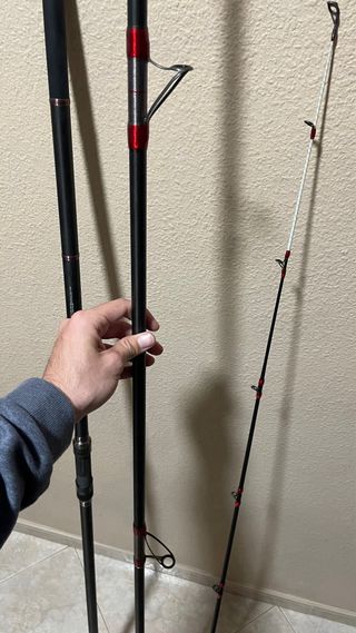 Caña Daiwa Emblem Surf Type-R 33-420