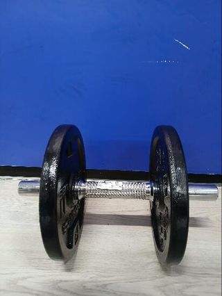 mancuerna de 12kg