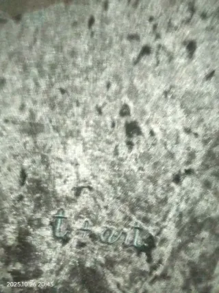 Vestito in velluto nero