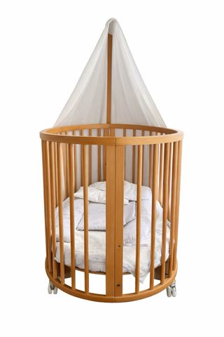 Cuna Stokke Evolutiva