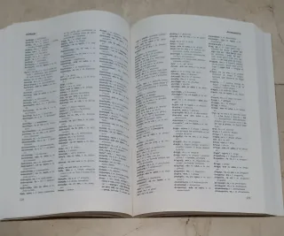 Diccionari valencià-castellà, castellà-valencià