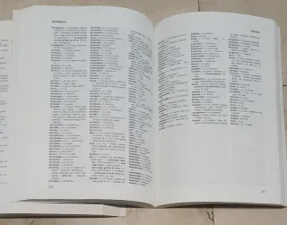 Diccionari valencià-castellà, castellà-valencià