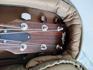 Guitarra Eléctrica Taylor