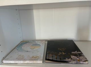 Heaven’s official blessing manhua en español