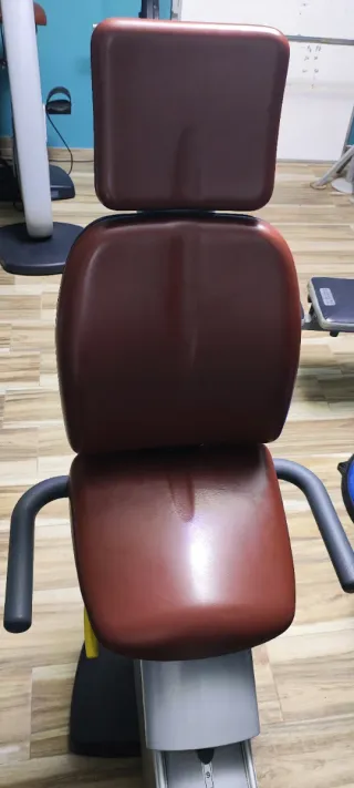 Bicicleta Estática Technogym Reclinada