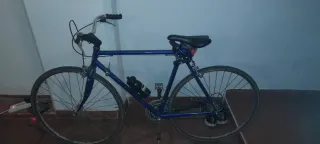 Bicicletta Bottecchia da città