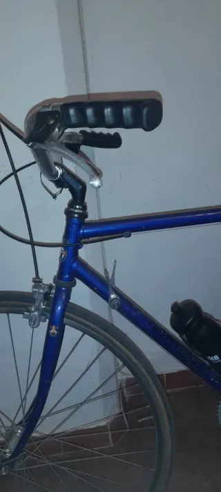 Bicicletta Bottecchia da città