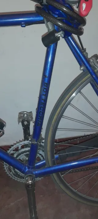 Bicicletta Bottecchia da città